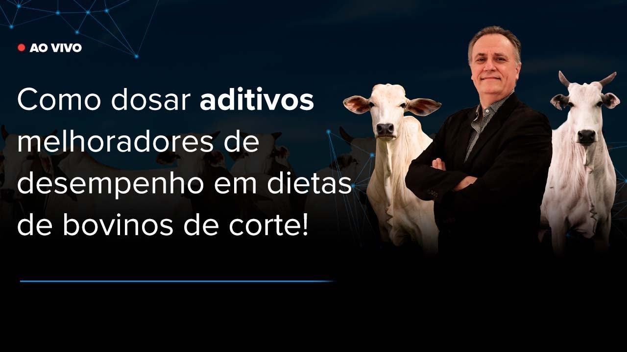 Aula AO VIVO #005: Como dosar aditivos melhoradores de desempenho em dietas de bovinos de corte?
