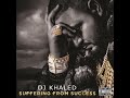 DJ Khaled - No New Friends (feat. Drake, Ross & Lil Wayne)  432 Hz