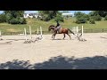 Barney Gymnastic