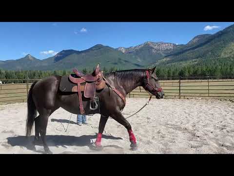 YouTube video about: Are hancock horses dangerous?