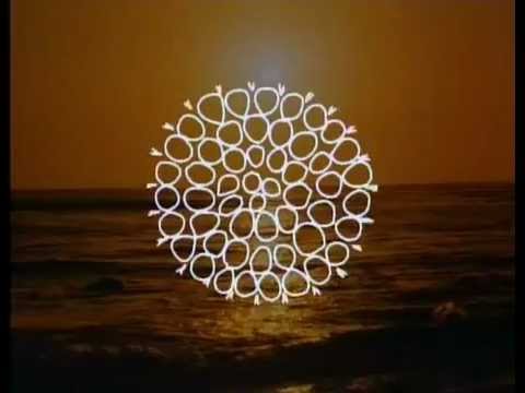 Carl Sagan: We are star stuff