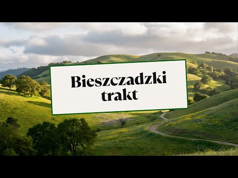 Bieszczadzki trakt | Harcerska piosenka | AI
