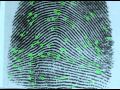 Forensics: The Silent Witness Full Version.mov