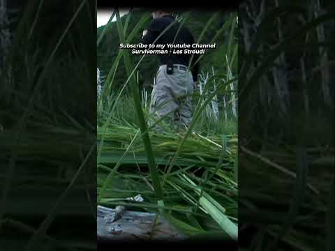 Survivorman | My Encounter With Bigfoot in Alaska | Les Stroud