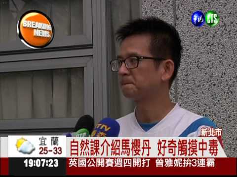 自然課觸摸馬櫻丹 13學生中毒