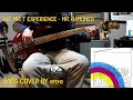 The Mr. T Experience - Mr. Ramones (bass cover)