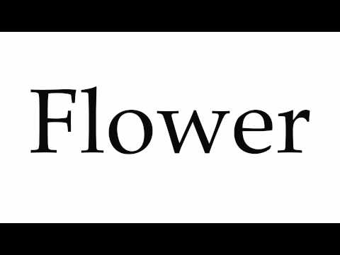 How to Pronounce Flower