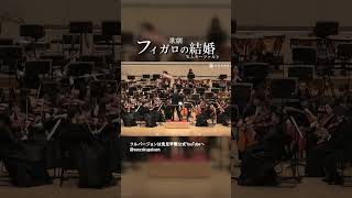 Download lagu フィガロの結婚 mp3 Download lagu フィガロの結婚 mp3