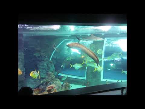 Mi *excursión* al parque de la ciencias (GRANADA) VLOG