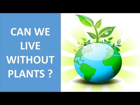 IMPORTANCE OF PLANTS IN OUR LIFE || USES OF PLANTS || CAN WE LIVE WITHOUT PLANTS || SCIENCE VIDEO