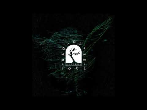 Idem Nevi - Northern Lights (Original Mix) [Requested Soul Records]