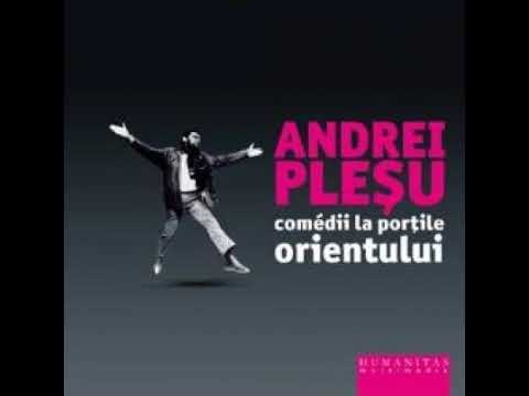 A Plesu - Romani in Japonia