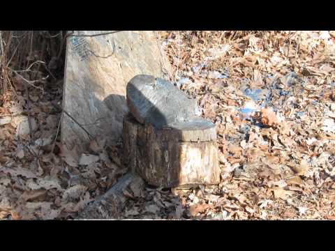 12 Gauge Wax Shotgun Slugs: Test 1