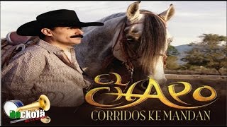 El Chapo de Sinaloa / Corridos ke Mandan / ALBUM