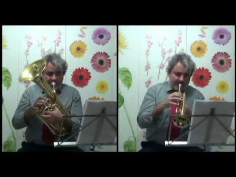 Antonio Russo Esegue: Giuseppe Verdi - La Traviata - Preludio atto 1° e Brindisi.