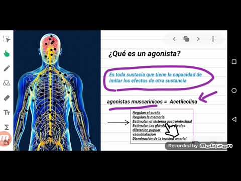 Fármacos agonistas muscarínicos [Explicación Fácil] en 7 minutos