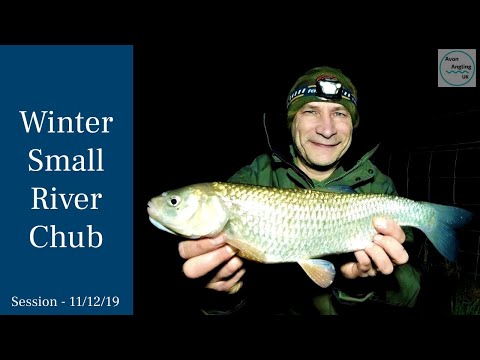 After-Work Small River Chub Fishing - & Update - 11/12/19 (Video 136)