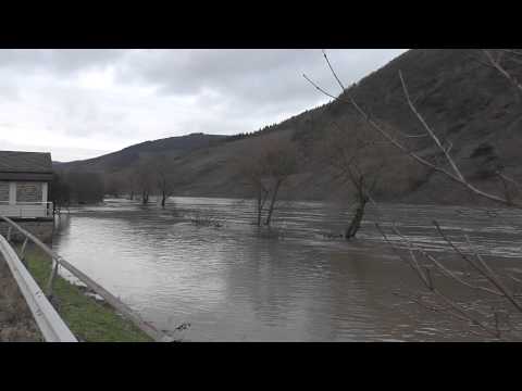Hochwasser Mosel 09.01.2010