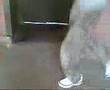 Double Master Jumping L The Master Solo