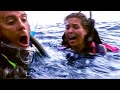 Slowly Chewed By A Shark Open Water CLIP