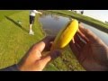 Fishing for Spawning Golf Course Bass 5/4/15 ...