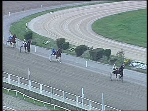 Trotto 23/09/2016 - 1ª prova di qualifica