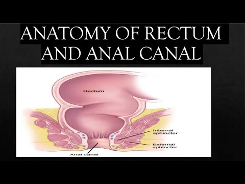 ANATOMY OF RECTUM AND ANAL CANAL