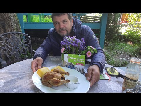 CASCADA SCORUȘ🐔COCOȘEL DE MUNTE PE TERASA CĂSUȚEI DIN PĂDURE