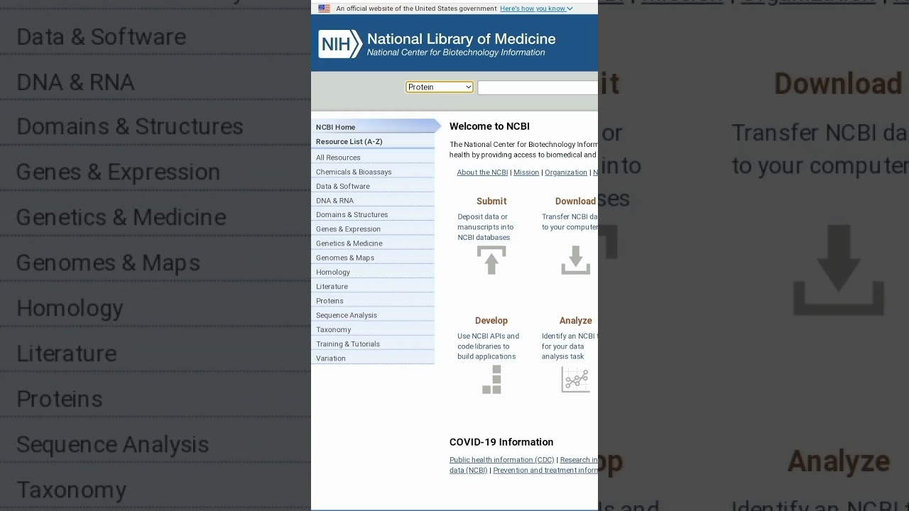 How to retrieve protein sequence from ncbi #bioinformatics #ncbi
