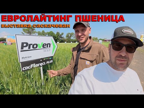 Agricultural exhibition in Canada. Saskatchewan. Agricultural technology, field work, wheat, corn...
