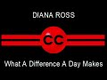 DIANA ROSS What A Difference A Day Makes (REMIXED)