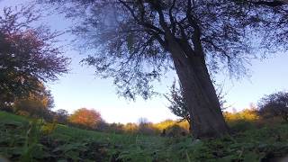 La Tortue et le Soleil