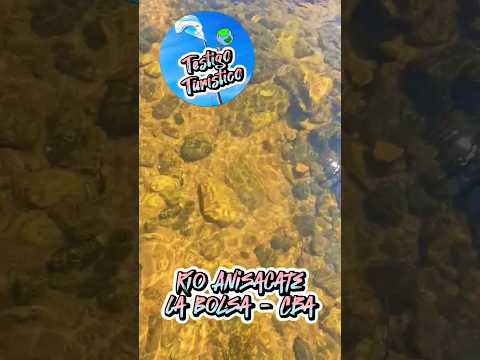 No veas el color del agua!!! 😱 #aguascristalinas #rios #turismo #córdoba #anisacate #travel