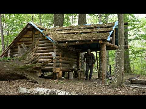 thunder and rain in bushcraft log cabin made by young hermit