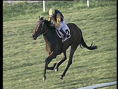 Galoppo 03/07/2019 - 4ª corsa