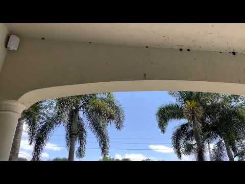 #timeline_automation video.