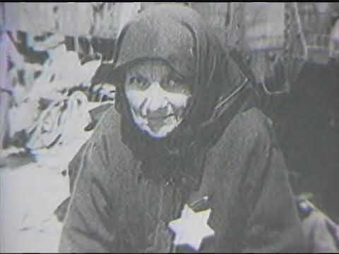 Holocaust Reports by Rich Newberg