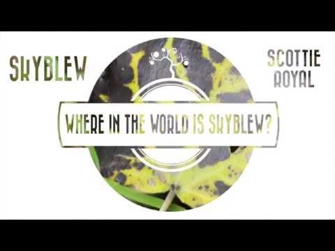 Video thumbnail for Where In The World Is SkyBlew?