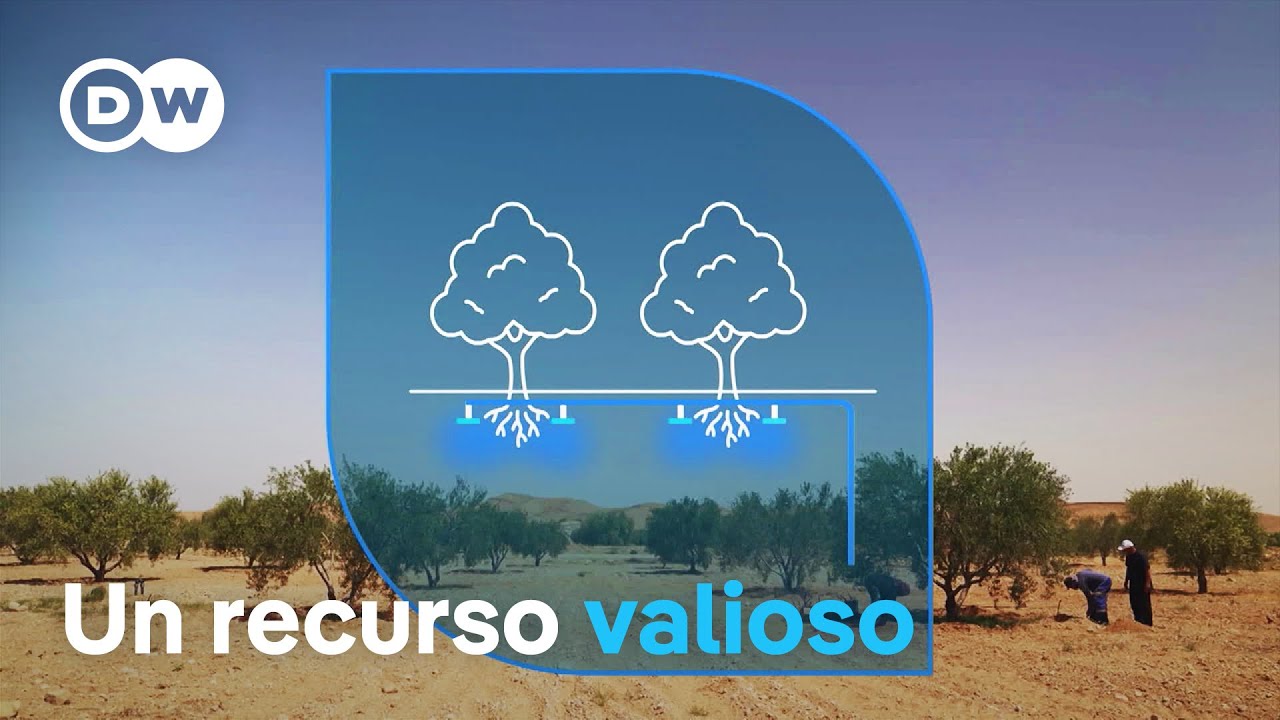 Escasez de agua: nuevas ideas contra la sequía | DW Documental