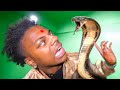 iShowSpeed Gets Bit By a SNAKE In India..
