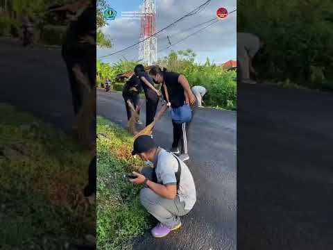 Jumat Bersih di Jl. Pidada XIV Kelurahan Ubung