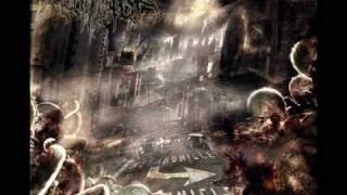 Cadaver Mutilator-Cannon Fodder-nechronicles 2009
