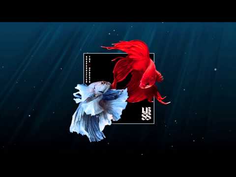 3. Shapeshifter vs The Upbeats [SSXUB] | Solitaire