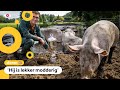 Dit is de mooiste modderpoel van Nederland