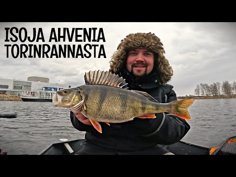 AHVENEN JIGIKALASTUS KEVÄÄLLÄ - OULUN TORILTA SAA TUORETTA KALAA JIGILLÄ