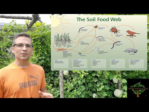 Soil Microbiology | Vibepedia
