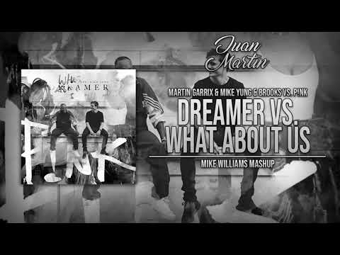 Dreamer vs. What About Us (Mike Williams Mashup)