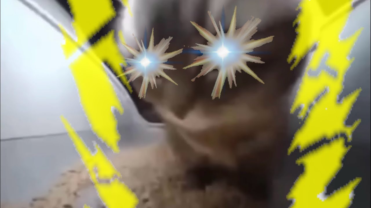 【猫ミーム】もっと徐々に本気を出すチピチピチャパチャパ猫(×0.1～×100)【ピッチ変更無し】