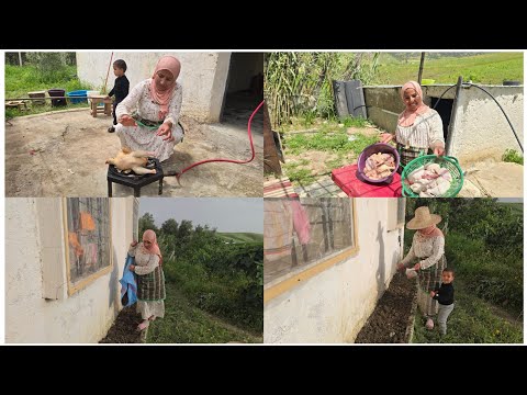 بديت نوجد في زردة 💃🏽منوتوش يحط هدشي كامل 😮بديت في زراعة ديال  كلشي 🤔غادي نصدم منعيم بهدشي لدرت😮🤔