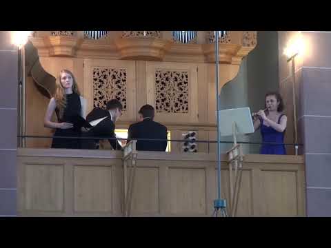 Johann Albrecht Kress (?) (1644-1684) In te Domine Speravi for Alto, Cornettino and BC